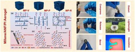多功能Ti3C2TX MXene 芳纶纳米纤维 聚酰亚胺气凝胶在热环境下具有高效隔热和可调电磁波吸收性能 Composites Part B