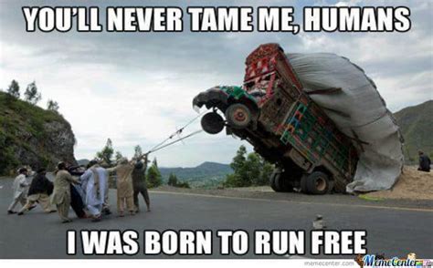 15 Truck Driver Memes That Will Fill Your Day With Humor - SayingImages.com