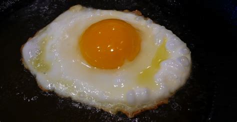 How To Cook An Egg With Your 3d Printer The Voice Of 3d Printing Additive