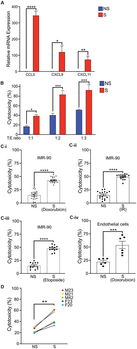 Enhanced Co Culture And Enrichment Of Human Natural Killer Cells For