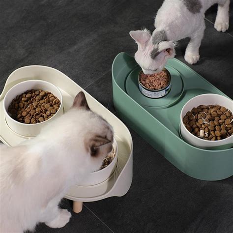 Dual Feeding Cat Bowls | LED Pets