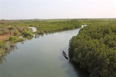 Serekunda Imagens Fotos De Férias De Serekunda Divisão De Banjul Tripadvisor