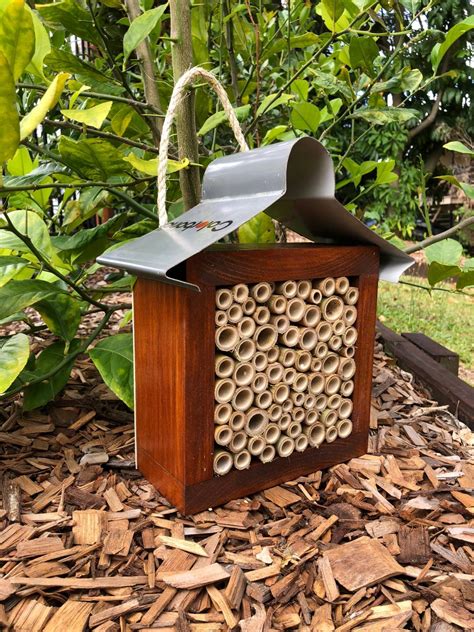 Shop Abeec Hives Australian Native Bee Hives