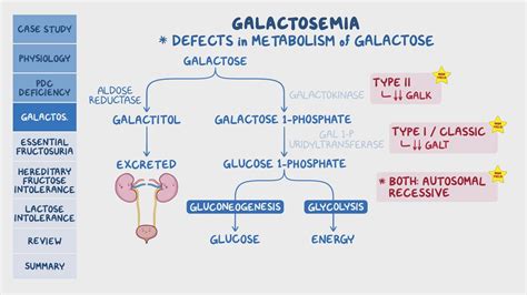 Video Disorders Of Carbohydrate Metabolism Pathology Review