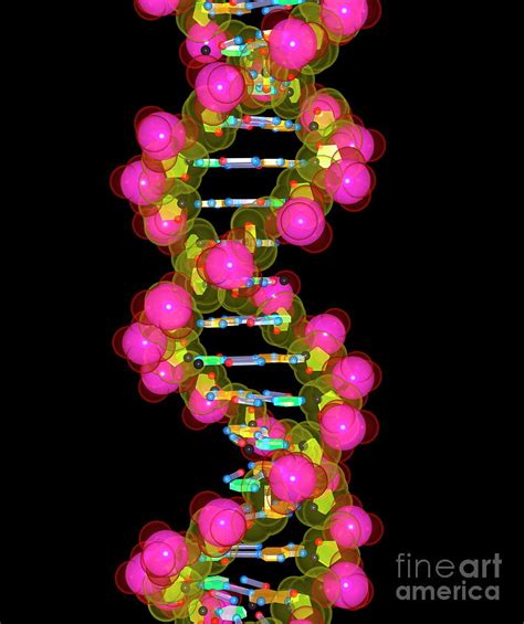 Dna Molecule Photograph By Russell Kightley Science Photo Library