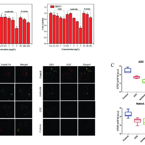 Inhibition Of Tumour Cell Growth By Rc Adc Or Antibody Alone A Her