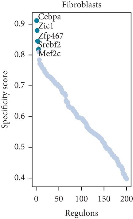 Analysis Of Cell Type Specific Regulation In The Mouse Brain