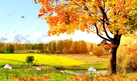 Animated Nature Screensavers | Image Wallpapers HD