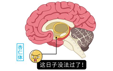 经常感到焦虑，大脑和身体会发生什么变化？记住5句话，战胜它of