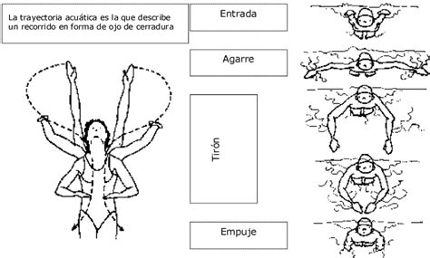 Iniciaci N A La T Cnica En El Estilo Mariposa