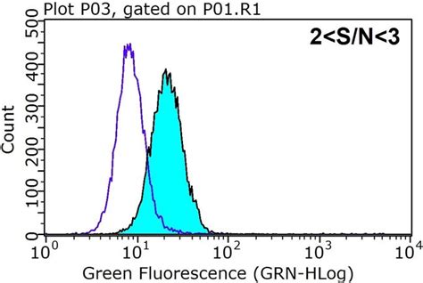 Gnai Rabbit Anti Human Mouse Rat Polyclonal Proteintech L