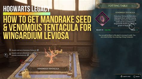 Hogwarts Legacy How To Get Mandrake Seed Venomous Tentacula For