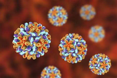 End-of-Treatment HBsAg Levels May Predict HBV Relapse in Chronic ...