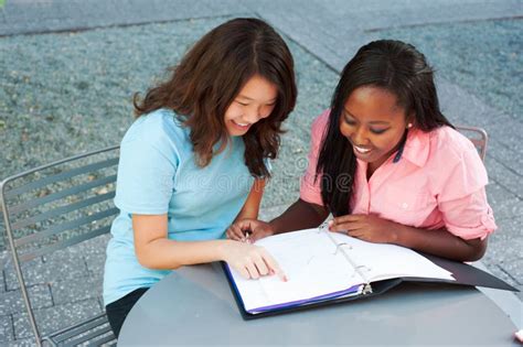 Two Friends Studying Together Stock Photo Image Of School Class