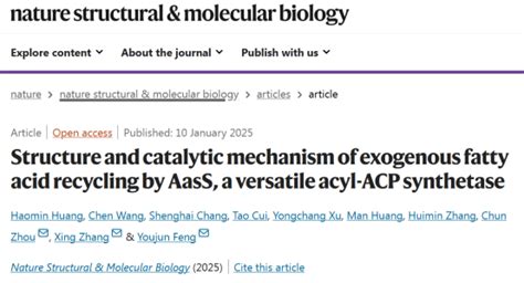 基础医学院冯友军课题组《nat Struct Mol Biol》发文揭示“外源脂肪酸利用的aass途径”的生化机制