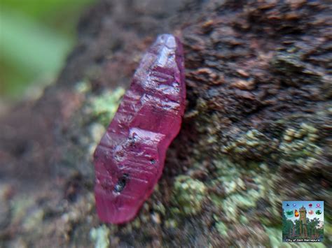 CEYLON NATURAL RARE RUBY CRYSTAL "SRI LANKAN RUBY"