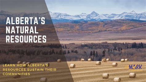 Alberta Grade 4 Social Studies Albertas Natural Resources