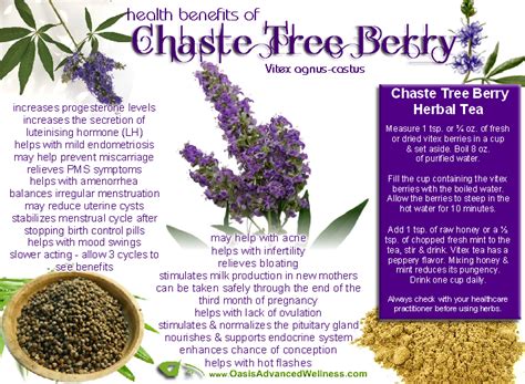 Health Benefits Of Chaste Tree Berry