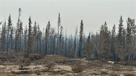 Thousands Evacuate Northwest Territories As Wildfires Force