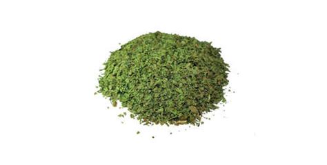 Natural Dried Coriander Leaves Shelf Life 6 Months At Best Price In