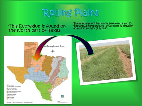 Ppt Ecoregions Of Texas Powerpoint Presentation Free Download Id