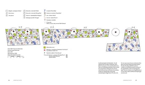 Piet Oudolf Planting Design - Landscape Architecture Modern Park Design