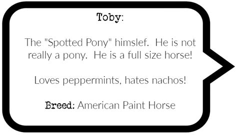 A Spotted Pony Meet Toby A Spotted Pony