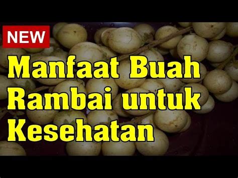 Temukan Manfaat Buah Rambutan Yang Jarang Diketahui Anda Harus Tahu