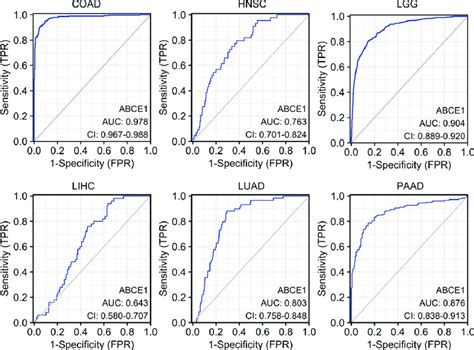 Receiver Operating Characteristic Roc Curves For Detecting The