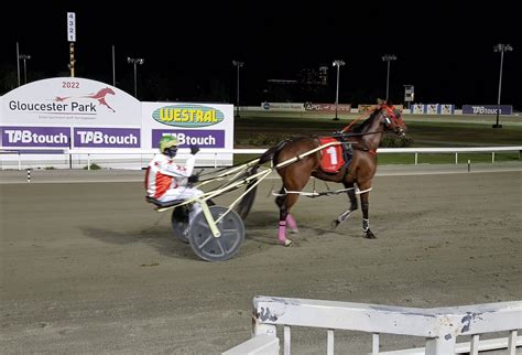 Sangue Reale Set For Narrogin Cup Gloucester Park Harness Racing