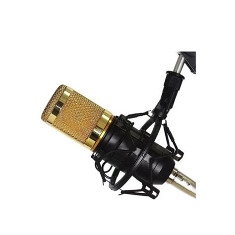 Kit Microfone Profissional Completo Bm800 Dourado Pop Filter Aranha