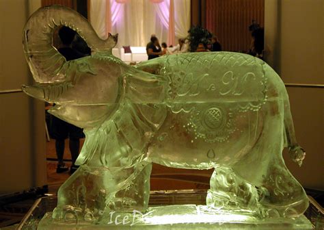 Indian Ice Sculptures - Ice Dreams