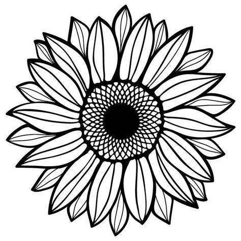 Sunflower Svg Sunflower Png Sunflowers Png Sunflowers Svg Sunflower