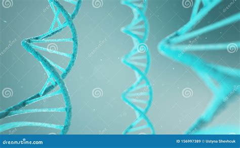 Structure H Lico Dale Double De L Adn Mol Cule D Adn Arn Le