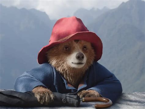 York Film Preview Paddington In Peru Blitz And Aesthetica Short Film