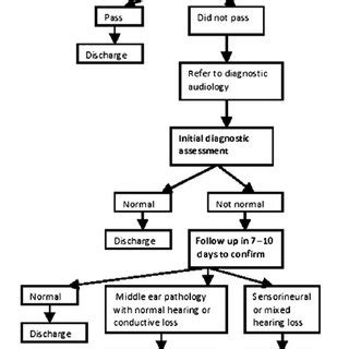 Mechanism Of Hearing Flowchart