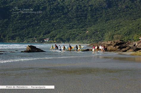 Foto surfistas indo pegar uma ondas na praia do matadeiro Florianópolis SC