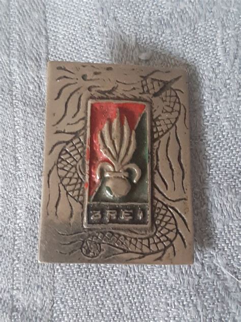 Insigne Locale Legion Indo Indochine 3e REI EBay