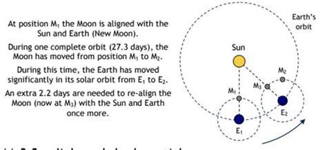 Chapter Time And The Earth Moon Sun Cycles Flashcards Quizlet