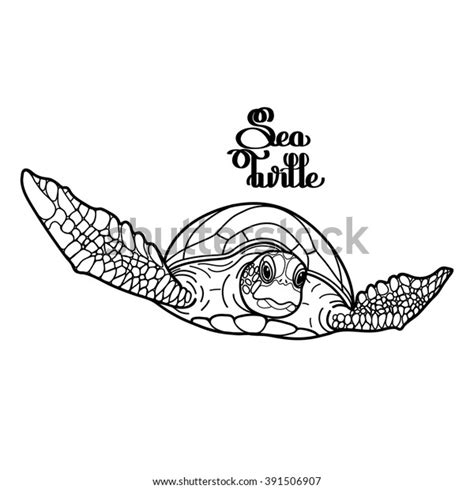 Graphic Hawksbill Sea Turtle Drawn Line Stock Vector Royalty Free