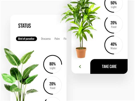 Plant Animated App Free XD Resource Adobe XD Elements