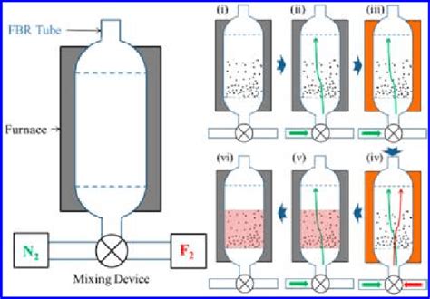 Diagram Of The Fluidized Bed Reactor Fbr Used For Fluorination Left Download Scientific