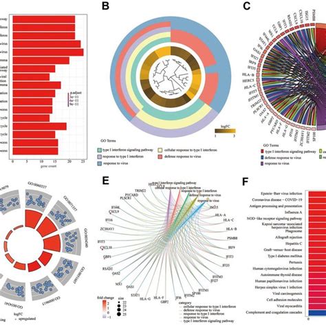 Gene Ontology Go Functional Enrichment Analysis And Kyoto