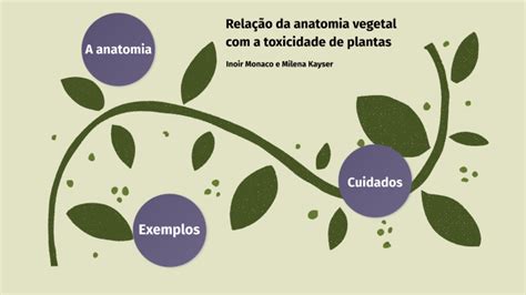 Relação da anatomia vegetal a toxicidade de plantas by Inoir Monaco