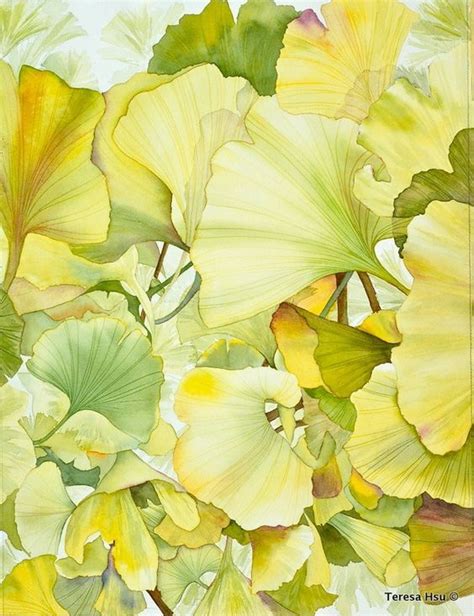 Livingalifeinflower Ginkgo Art Watercolor Leaves Botanical Illustration