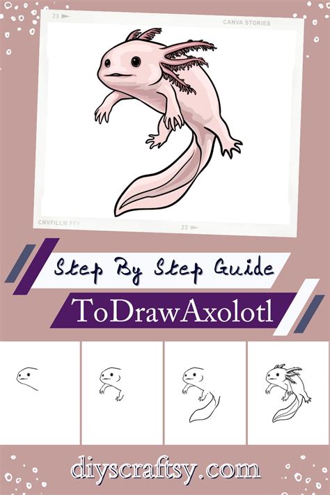 12 Axolotl Drawing Ideas - Step By Step Guide - DIYsCraftsy