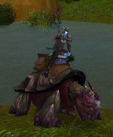 Reins Of The Purple Dragon Turtle Item World Of Warcraft