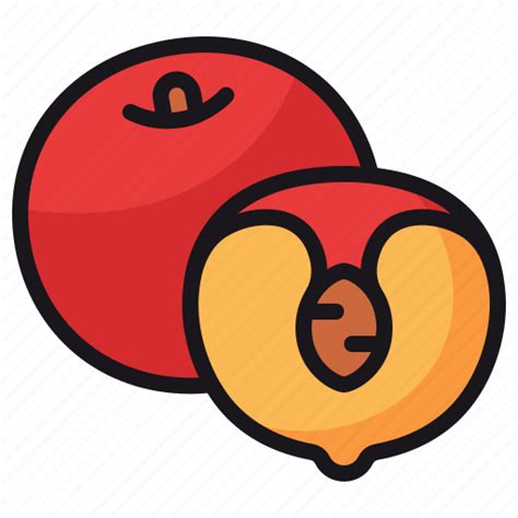 Peach Fruit Food Healthy Gastronomy Icon Download On Iconfinder