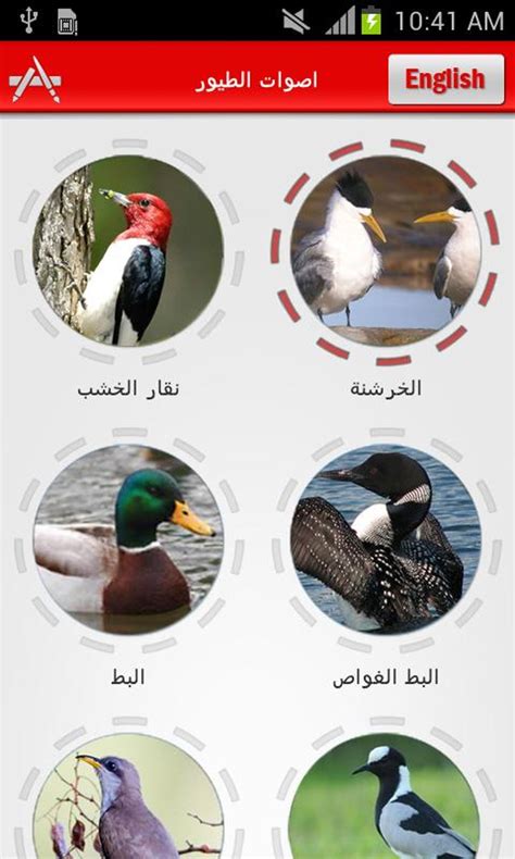 اصوات الطيور Birds Sounds APK для Android Скачать