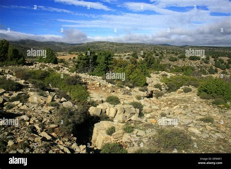 Restos de estructuras defensivas de la guerra civil española la Sierra